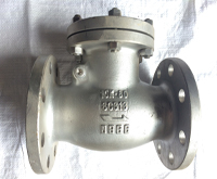 Stainless Steel Flanged Swing Check Valves